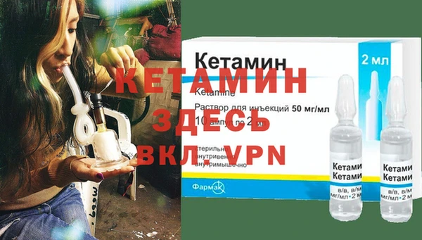 гидра Арсеньев