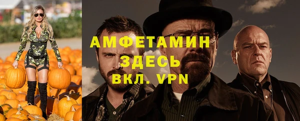 гидра Арсеньев